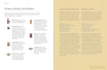 A Forager's Guide to Wild Drinks: Ferments, infusions and thirst-quenchers for every season - Liz Knight [KSIĄŻKA]
