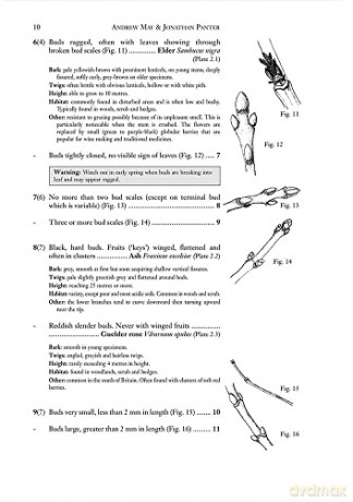 A Guide to the Identification of Deciduous Broadleaved Trees and Shrubs in Winter: 9, no. 4 (AIDGAP) - Andrew May [KSIĄŻKA]