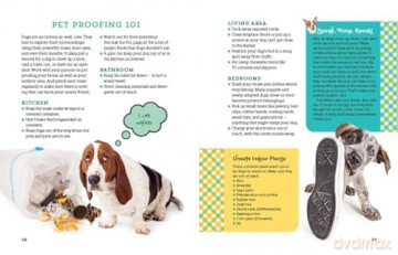 A Kid's Guide to Dogs: How to Train, Care for, and Play and Communicate with Your Amazing Pet! - Arden Moore [KSIĄŻKA]