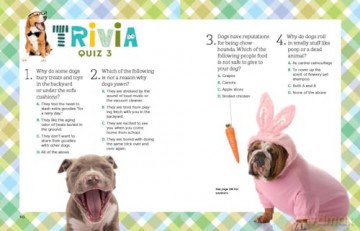 A Kid's Guide to Dogs: How to Train, Care for, and Play and Communicate with Your Amazing Pet! - Arden Moore [KSIĄŻKA]