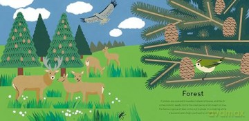 A Moment in Nature: A treasury for little nature lovers - Clare Beaton [KSIĄŻKA]
