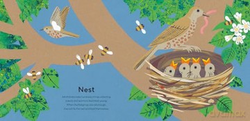 A Moment in Nature: A treasury for little nature lovers - Clare Beaton [KSIĄŻKA]