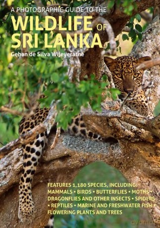 A Photographic Guide to the Wildlife of Sri Lanka (Wildlife Guides) - Gehan de Silva Wijeyeratne [KSIĄŻKA]
