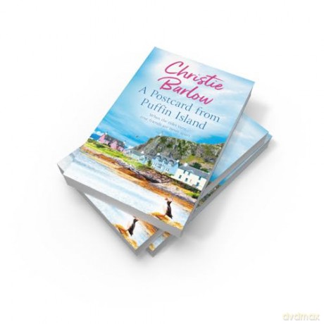 A Postcard from Puffin Island: Book 1 - Christie Barlow [KSIĄŻKA]