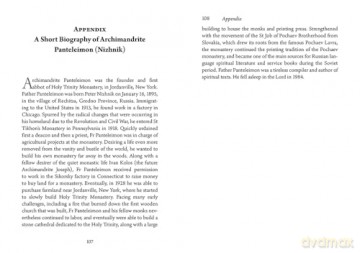 A Ray of Light: Instructions on Piety, the Passions, and the End Times - Panteleimon (Nizhnik) [KSIĄŻKA]