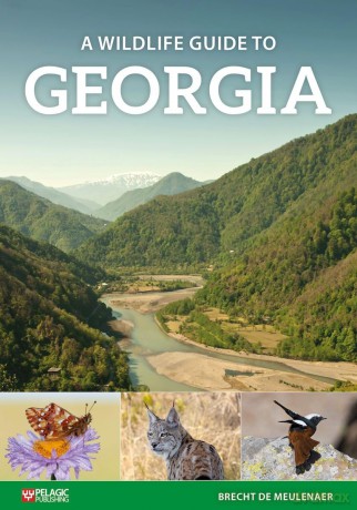 A Wildlife Guide to Georgia (Where to Watch Guides) - Brecht De Meulenaer [KSIĄŻKA]