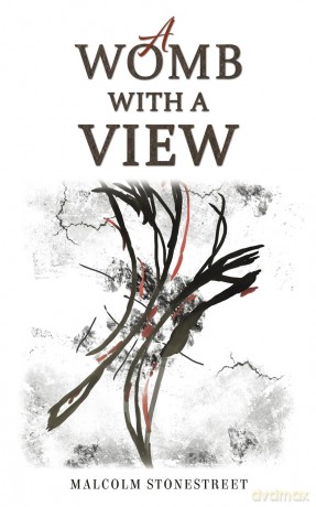 A Womb With a View - Malcolm Stonestreet [KSIĄŻKA]