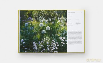 A Year in Bloom: Flowering Bulbs for Every Season - Lucy Bellamy [KSIĄŻKA]
