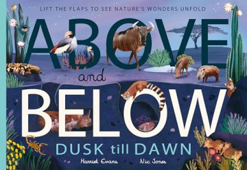 Above and Below: Dusk till Dawn: Lift the flaps to see nature's wonders unfold - Harriet Evans [KSIĄŻKA]