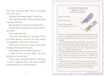Ada Twist and the Perilous Pants: The Questioneers Book #2 - Andrea Beaty [KSIĄŻKA]