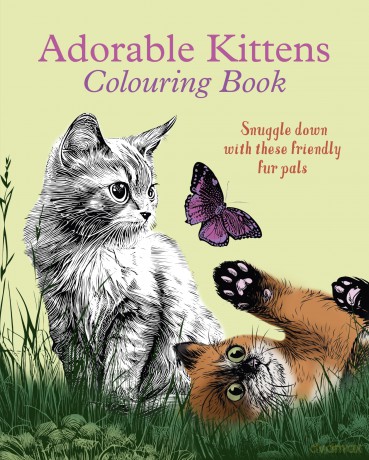 Adorable Kittens Colouring Book: Snuggle down with these friendly fur pals (Arcturus Creative Colouring) - Tansy Willow [KSIĄŻKA]