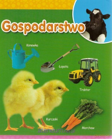 Gospodarstwo [KSIĄŻKA]