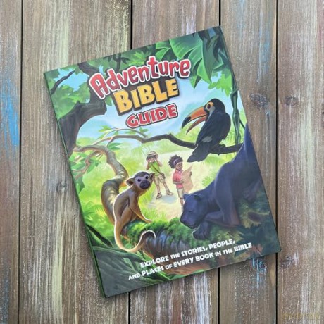 Adventure Bible Guide: Explore the Stories, People, and Places of Every Book in the Bible: An Ideal Companion to the NIV Adventure Bible - Zondervan [KSIĄŻKA]