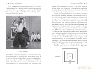 Aikido: The Art of Transformation: The Life and Teachings of Robert Nadeau - Teja Bell [KSIĄŻKA]