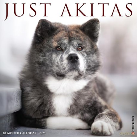 Akitas 2025 Wall [KSIĄŻKA]