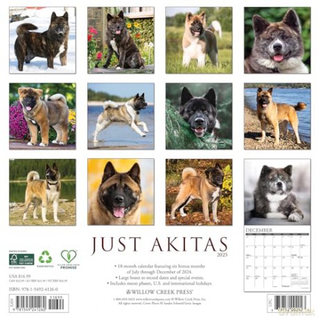 Akitas 2025 Wall [KSIĄŻKA]