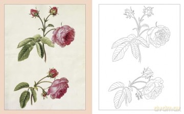Alexander Marshal's Nature Colouring Book: Drawings from the Royal Collection (Arcturus Classic Nature Colouring) - Lizzie Preston [KSIĄŻKA]