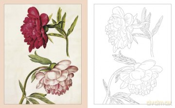 Alexander Marshal's Nature Colouring Book: Drawings from the Royal Collection (Arcturus Classic Nature Colouring) - Lizzie Preston [KSIĄŻKA]