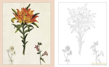 Alexander Marshal's Nature Colouring Book: Drawings from the Royal Collection (Arcturus Classic Nature Colouring) - Lizzie Preston [KSIĄŻKA]