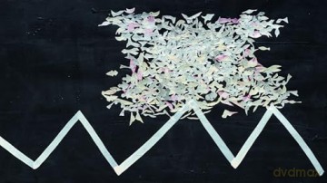 Alison Wilding: On Paper - Dr. Penelope Curtis [KSIĄŻKA]