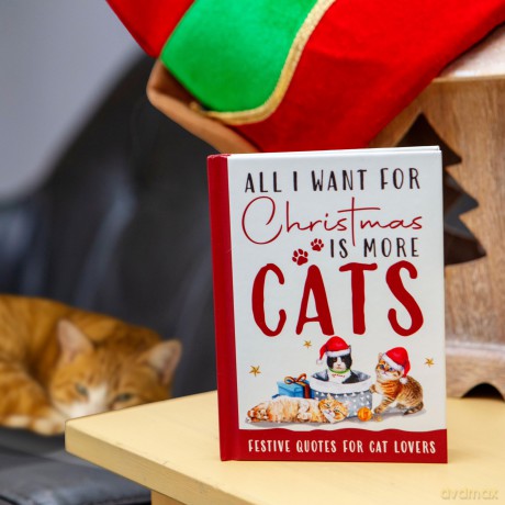 All I Want For Christmas Is More Cats Gift Book: Festive Quotes For Cat Lovers - Bee Three Books [KSIĄŻKA]