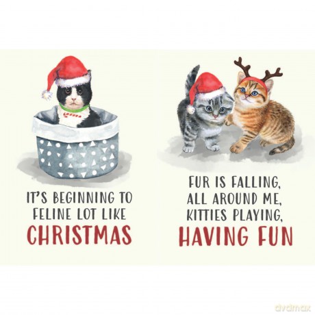 All I Want For Christmas Is More Cats Gift Book: Festive Quotes For Cat Lovers - Bee Three Books [KSIĄŻKA]