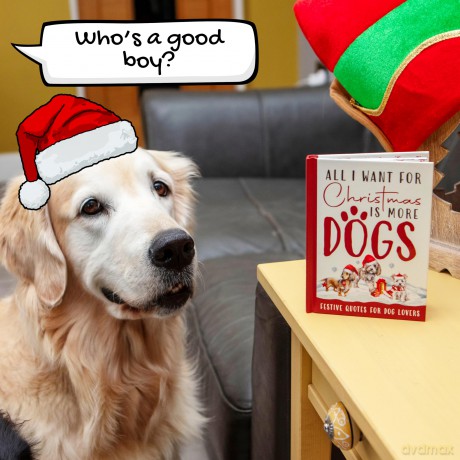 All I Want For Christmas Is More Dogs Gift Book: Festive Quotes For Dog Lovers - Bee Three Books [KSIĄŻKA]