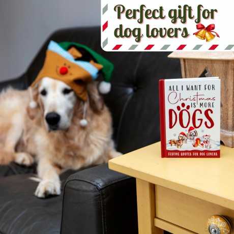 All I Want For Christmas Is More Dogs Gift Book: Festive Quotes For Dog Lovers - Bee Three Books [KSIĄŻKA]