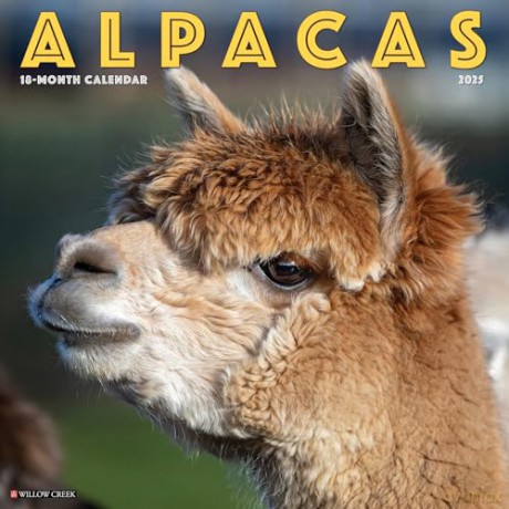 Alpacas 2025 Wall [KSIĄŻKA]