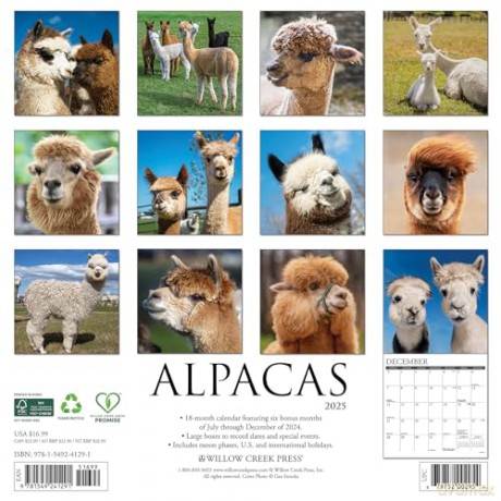 Alpacas 2025 Wall [KSIĄŻKA]