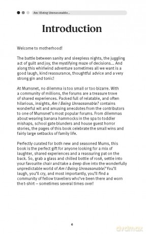 Am I Being Unreasonable: Real-life dilemmas and top-rated answers from the users of Mumsnet - Mumsnet [KSIĄŻKA]