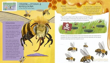 Amazing Animals with Astonishing Jobs - Simon Philip [KSIĄŻKA]