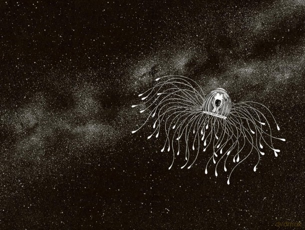 Amazing Jellyfish: Mysterious Dweller of the Deep (Amazing Ocean) - Michael Stavaric [KSIĄŻKA]