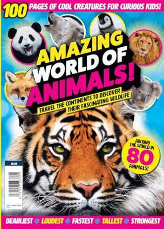 Amazing World of Animals - DC Thomson [KSIĄŻKA]