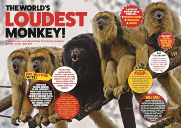 Amazing World of Animals - DC Thomson [KSIĄŻKA]