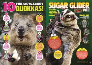 Amazing World of Animals - DC Thomson [KSIĄŻKA]