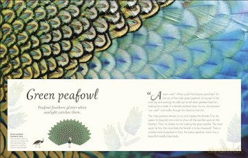 An Anthology of Exquisite Birds (DK Children's Anthologies) - Ben Hoare [KSIĄŻKA]