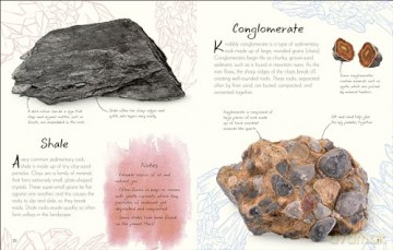 An Anthology of Rocks and Minerals: A Collection of 100 Rocks, Minerals, and Gems from Around the World (DK's Little Anthologies) - Dr Devin Dennie [KSIĄŻKA]