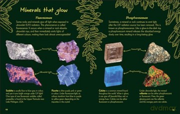 An Anthology of Rocks and Minerals: A Collection of 100 Rocks, Minerals, and Gems from Around the World (DK's Little Anthologies) - Dr Devin Dennie [KSIĄŻKA]