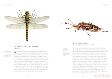 An Insect A Day: Bees, bugs, and pollinators for every day of the year (Volume 6) - Dominic Couzens [KSIĄŻKA]