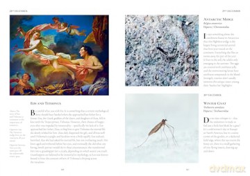 An Insect A Day: Bees, bugs, and pollinators for every day of the year (Volume 6) - Dominic Couzens [KSIĄŻKA]