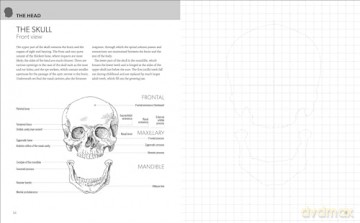 Anatomy for Artists: Complete with Draw-In Pages to Refine Your Skills - Barrington Barber [KSIĄŻKA]