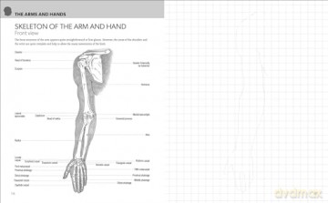 Anatomy for Artists: Complete with Draw-In Pages to Refine Your Skills - Barrington Barber [KSIĄŻKA]