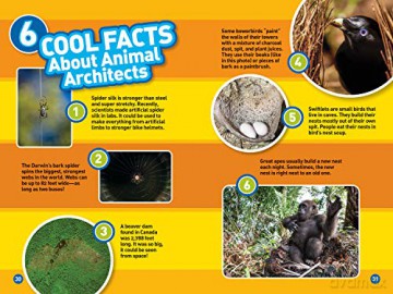 Animal Architects (Level 3) (National Geographic Readers) - Romero [KSIĄŻKA]