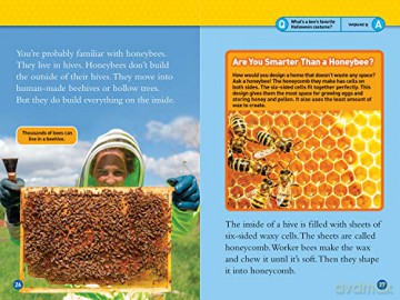 Animal Architects (Level 3) (National Geographic Readers) - Romero [KSIĄŻKA]