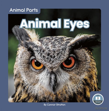 Animal Eyes (Animal Parts) - Connor Stratton [KSIĄŻKA]