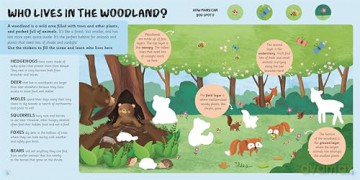 Animal Habitats (Early learning sticker book for little explorers) [KSIĄŻKA]