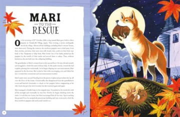 Animal Superheroes: Amazing True-Life Tales - Camilla de la Bedoyere [KSIĄŻKA]