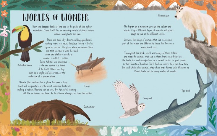 Animal Worlds of Wonder - Anita Ganeri [KSIĄŻKA]