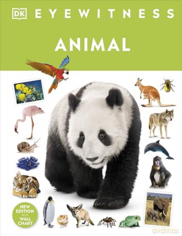 Animal: DK Eyewitness [KSIĄŻKA]